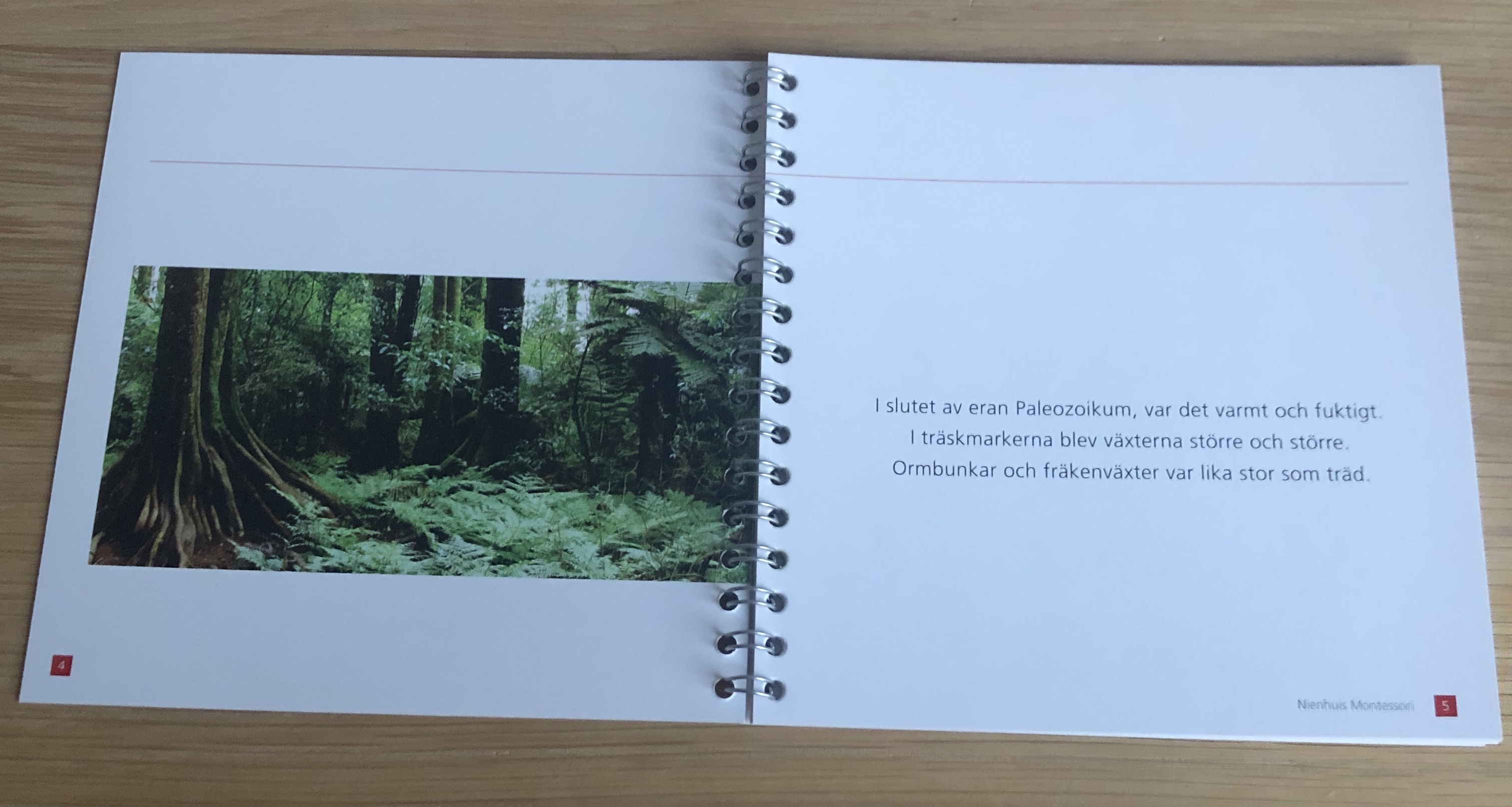 Den lilla trollsländan  - 3
