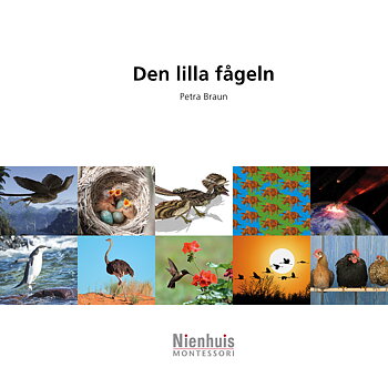 Den lilla frågeln 