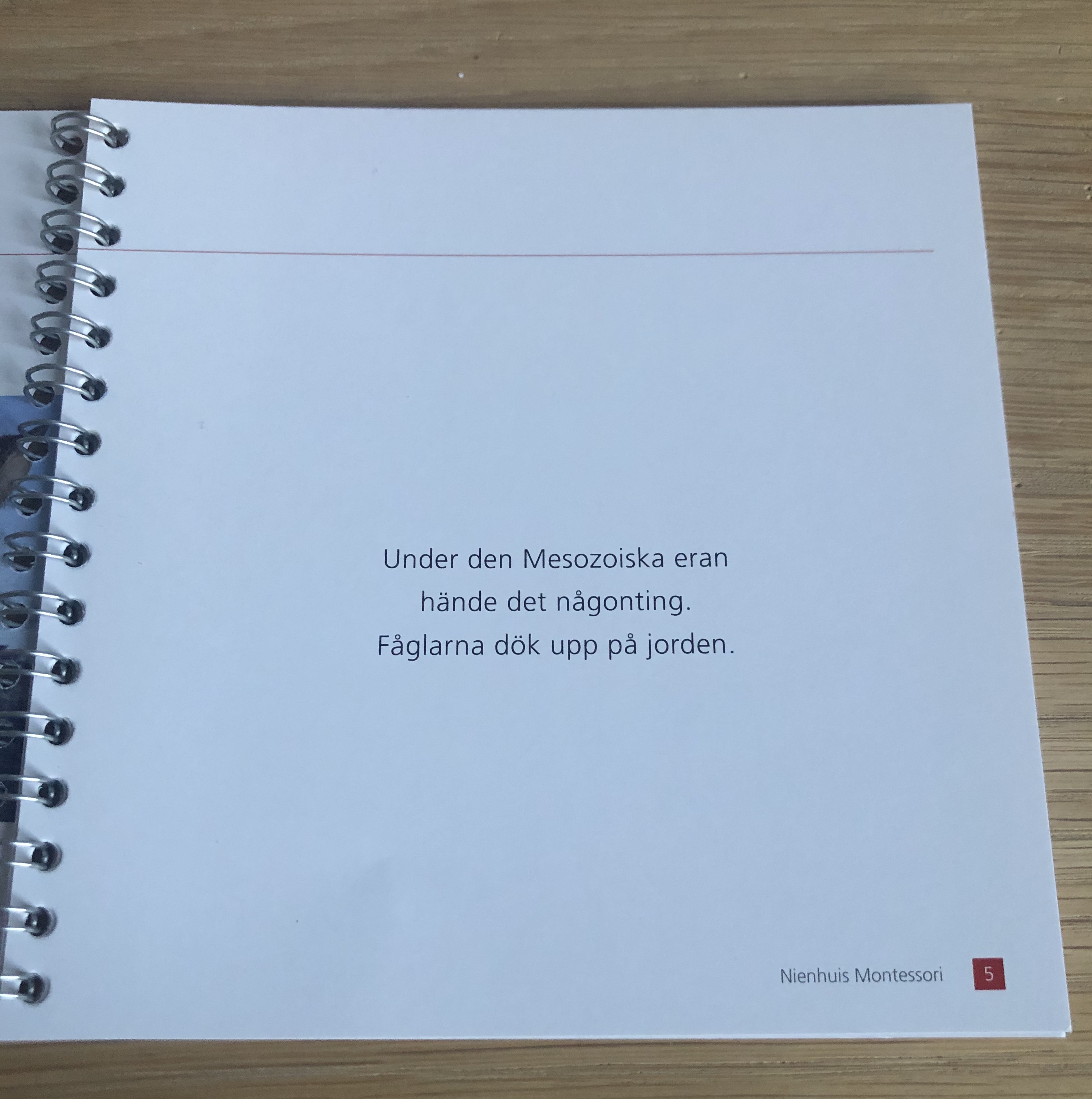 Den lilla frågeln  - 3