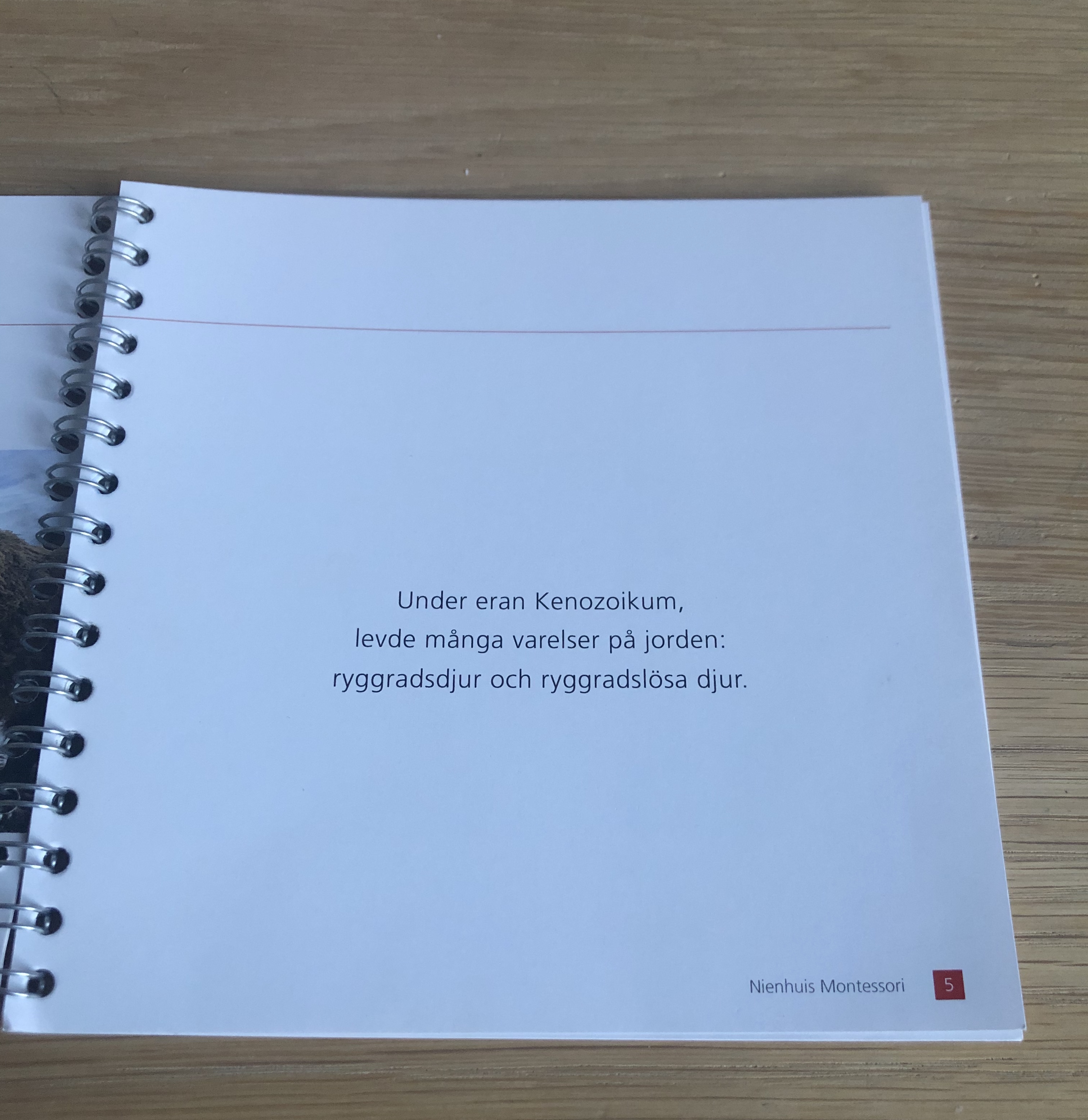 Den lilla hästen  - 3