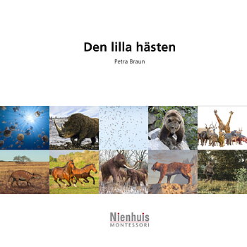 Den lilla hästen 