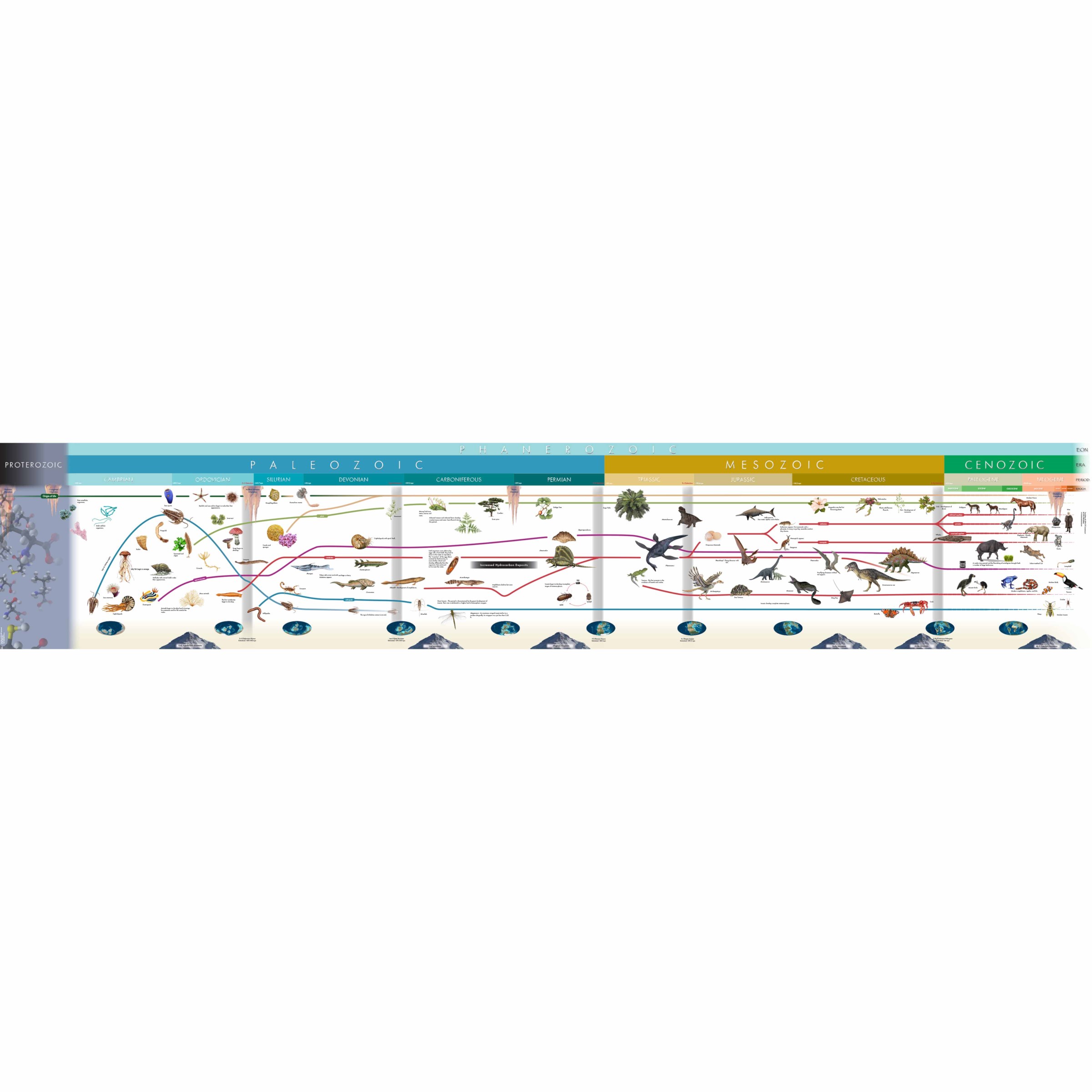 Timeline Of Life (Working)