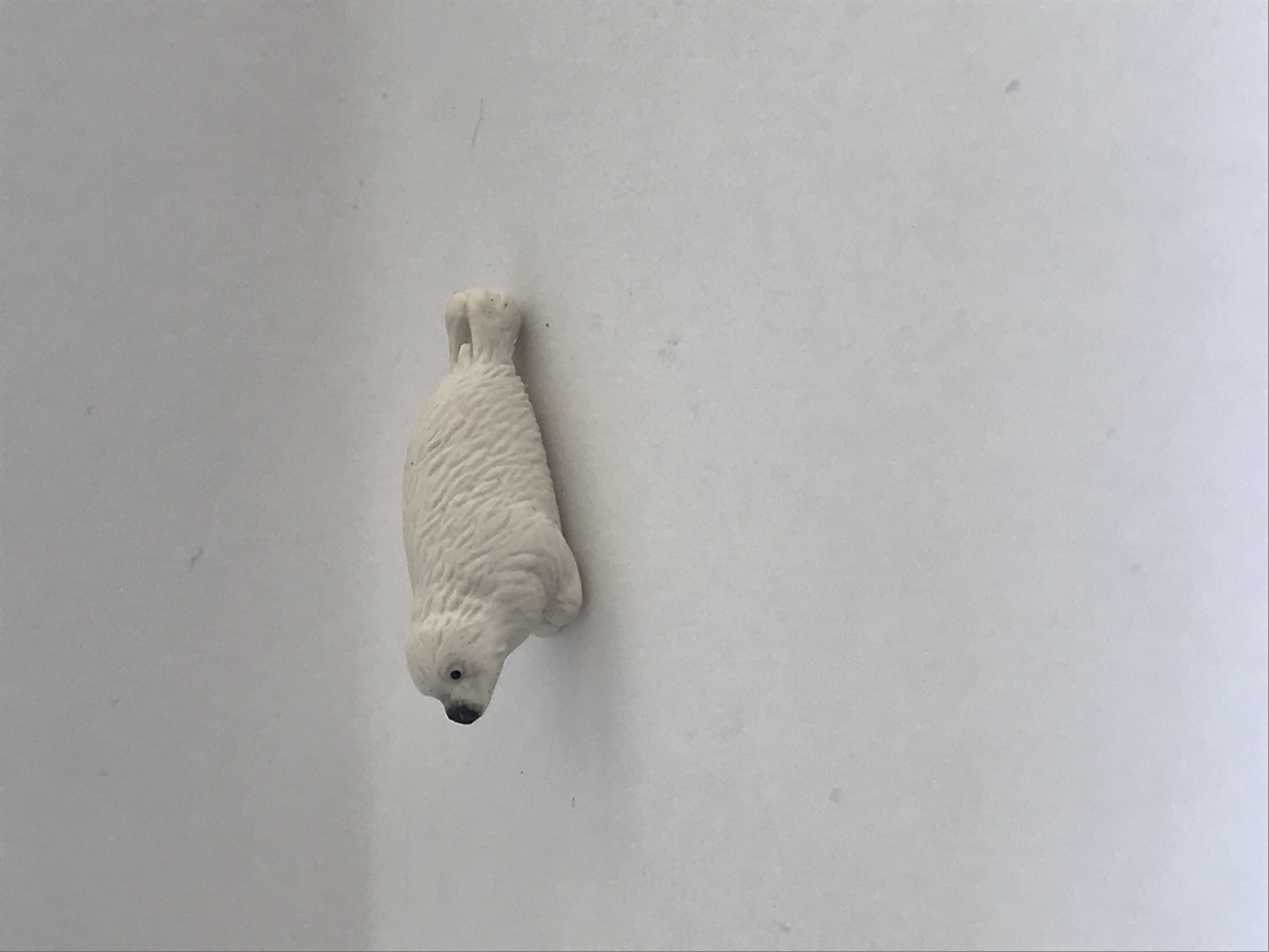 Säl