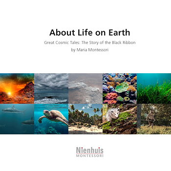 About Life on Earth 