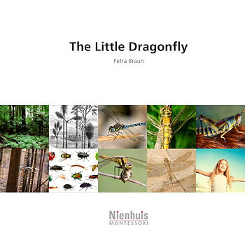The little dragonfly 