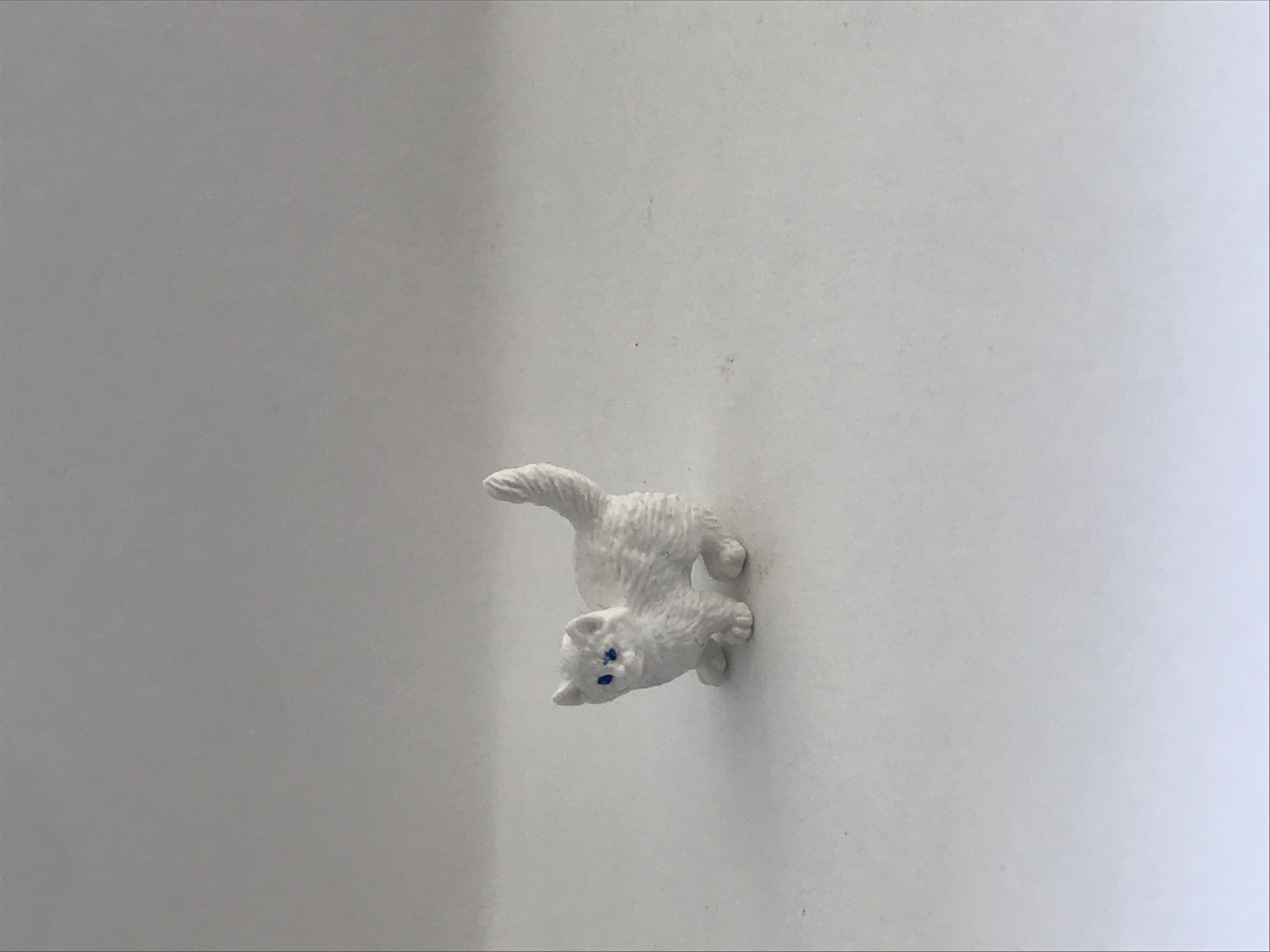 Katt - 2