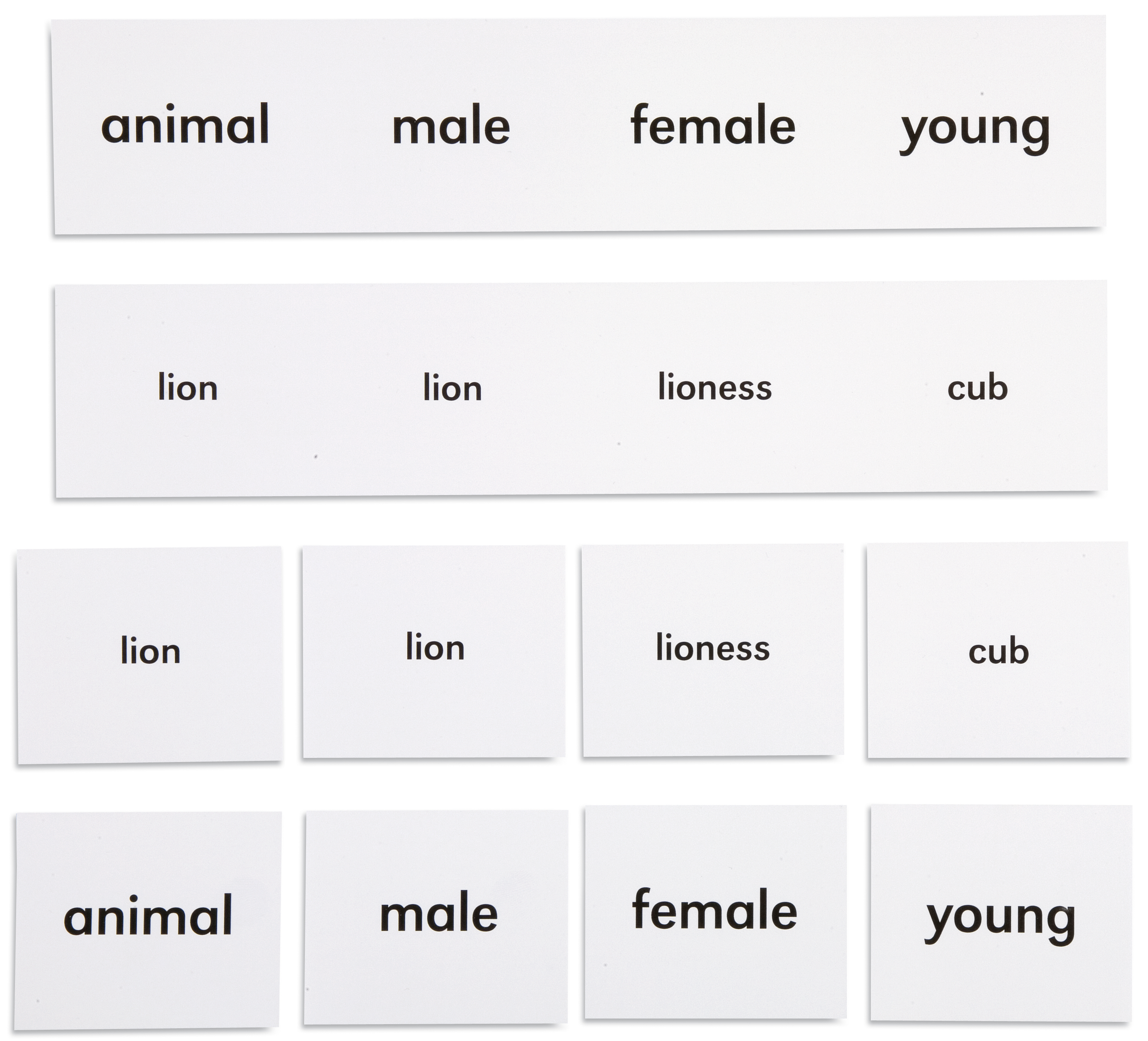 Animal names 