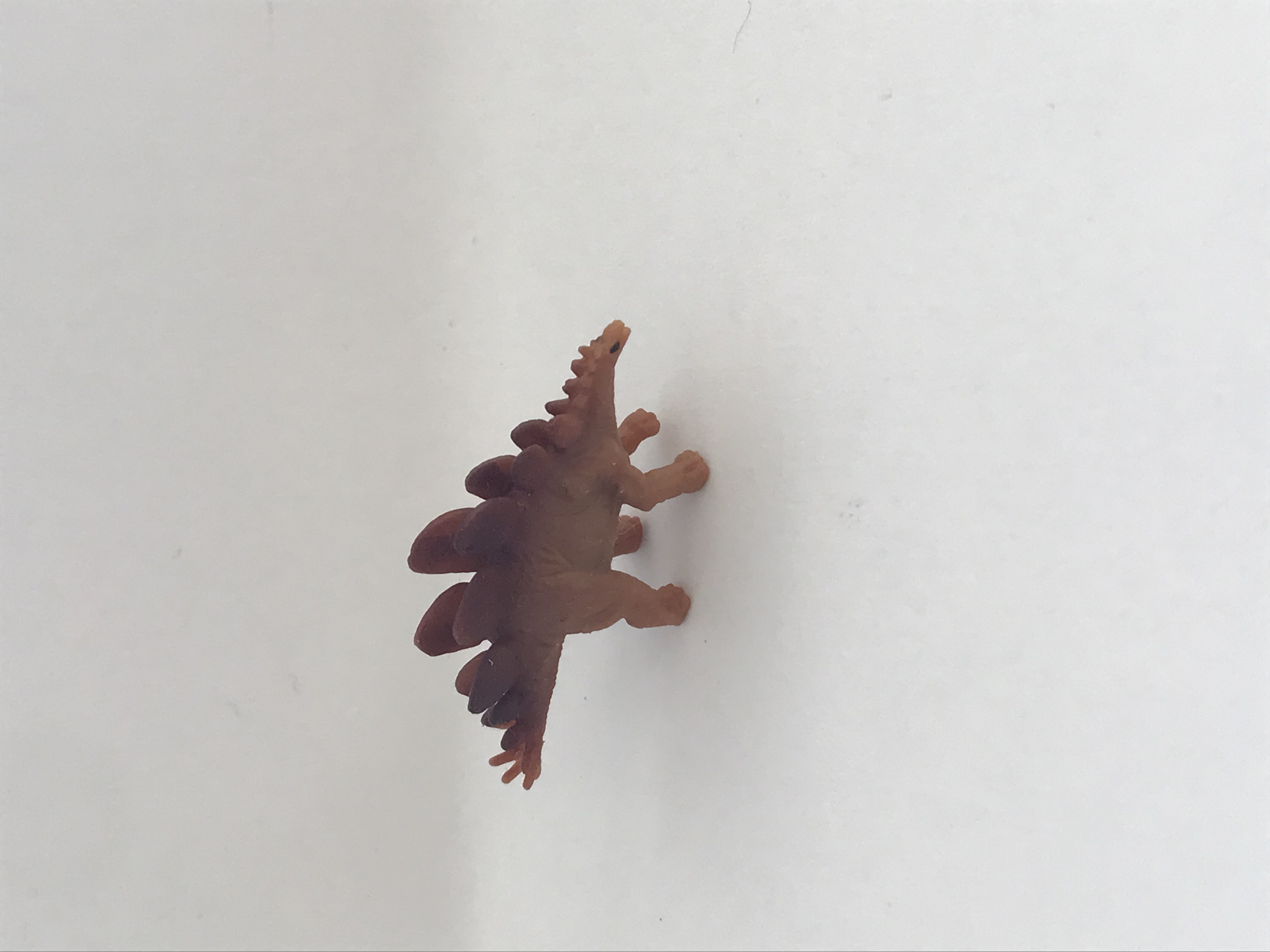 Dinosaurier - Stegosaurus