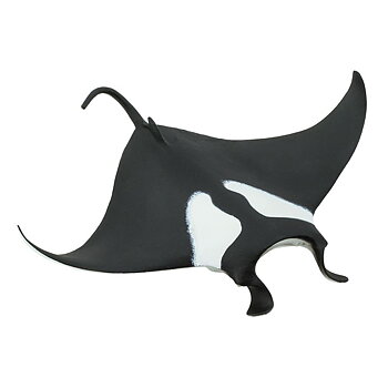 Jättemanta / Manta Ray 21 cm-  Safari 