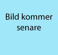 Wallas 1300 med deforsterutsläpp, fabriksmonterad