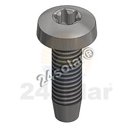 SS thread-forming bolt T30 (Van der Valk)