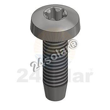 SS thread-forming bolt T30 (Van der Valk)