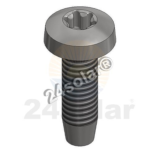 SS thread-forming bolt T30 (Van der Valk)