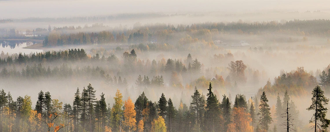 Vi lever i en fantastisk och speciell miljö Hållbarhet är viktigt och ger speciella produkter Läs mer