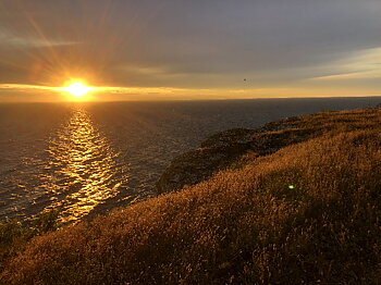 Peace of Mind