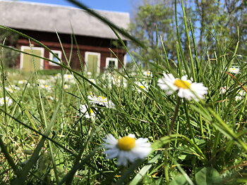 Sommaräng