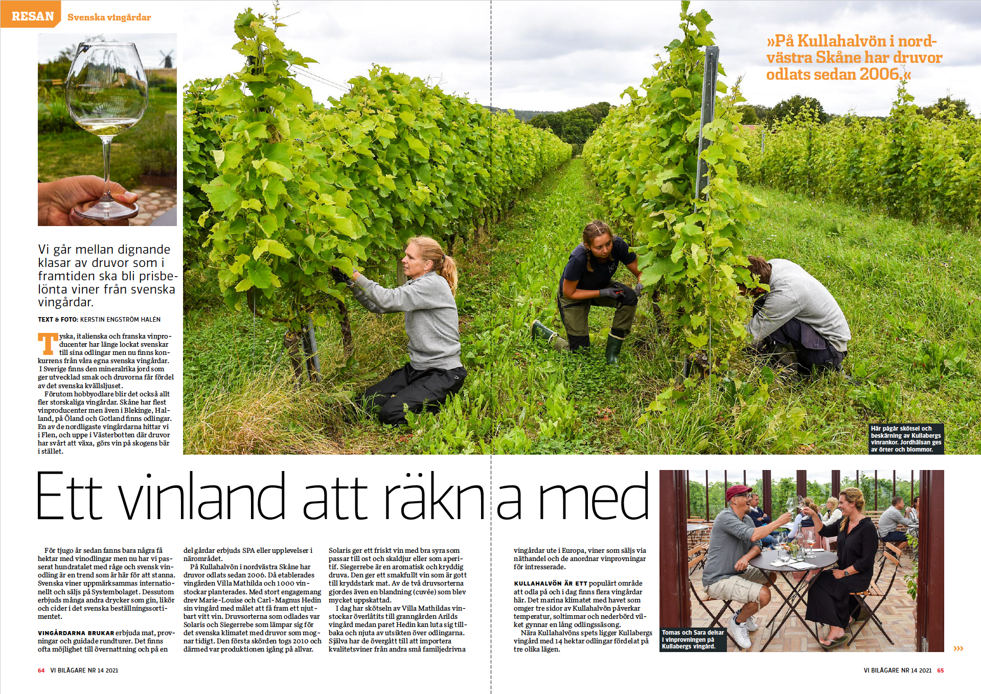 Vi Bilägare 2021/14 Resan: Svenska vingårdar