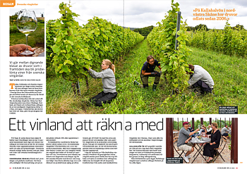 Vi Bilägare 2021/14 Resan: Svenska vingårdar