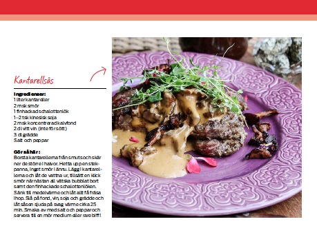 Digital fil: Samlade recept Husbil & Husvagn del 2 - 2
