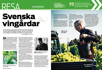 Digital fil: RESA 8/2020 -  SVENSKA VINGÅRDAR / NORA MARKNAD / STPL NYSÄTER / 3 SOMMARKAFÉER / KROATIEN – ROVINJ
