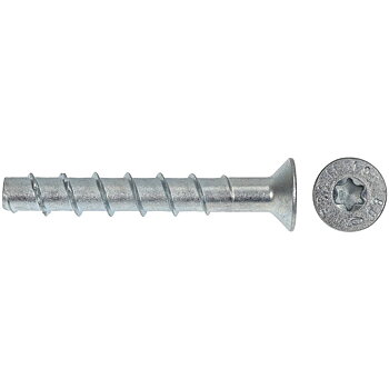 BETONGSKRUV 10X100 FBS2 50ST UK/TX