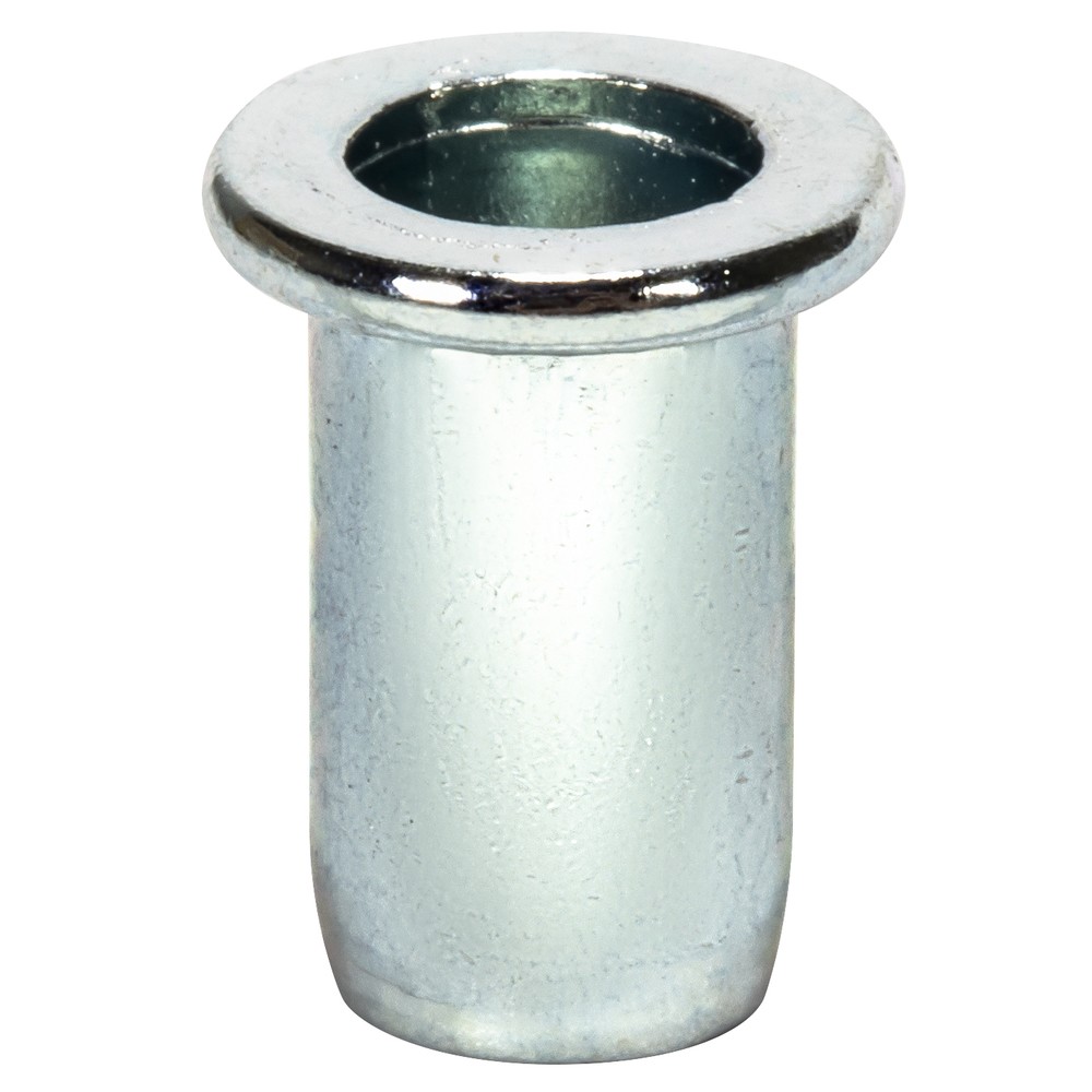 BLINDNITMUTTER M3X10,9MM 40ST STÅL