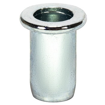 BLINDNITMUTTER M3X10,9MM 40ST STÅL