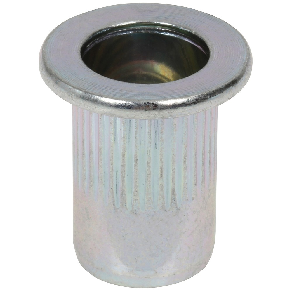 BLINDNITMUTTER M10X19MM 25ST STÅL