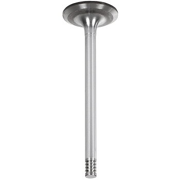 INSUGSVENTIL STD NH 87802256