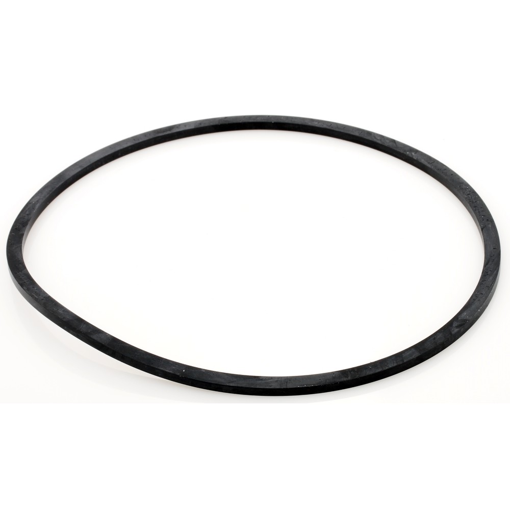 TÄTNINGSRING FORD 81805281 PTO