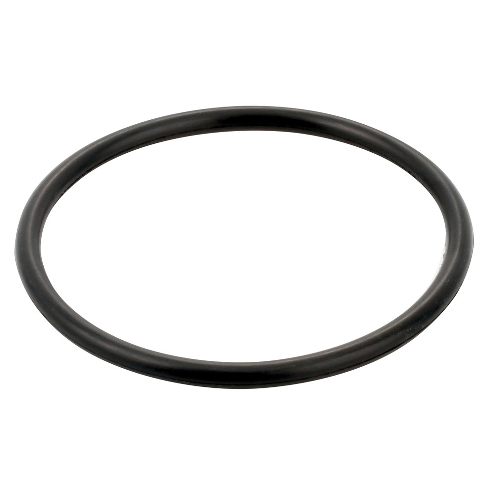 O-RING FORD 83416992