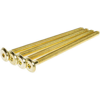 INSEXSKRUV M6X100 MÄSSING 4ST 310