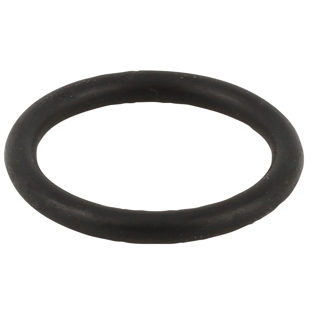 O-RING FÖR FLÄNS (T3692)