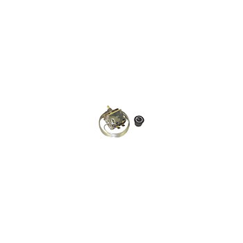 TERMOSTAT AC MF 3478454M1