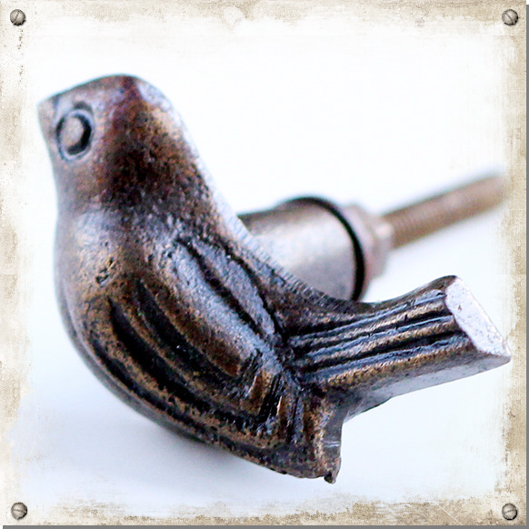 Metallknopp, Fågel