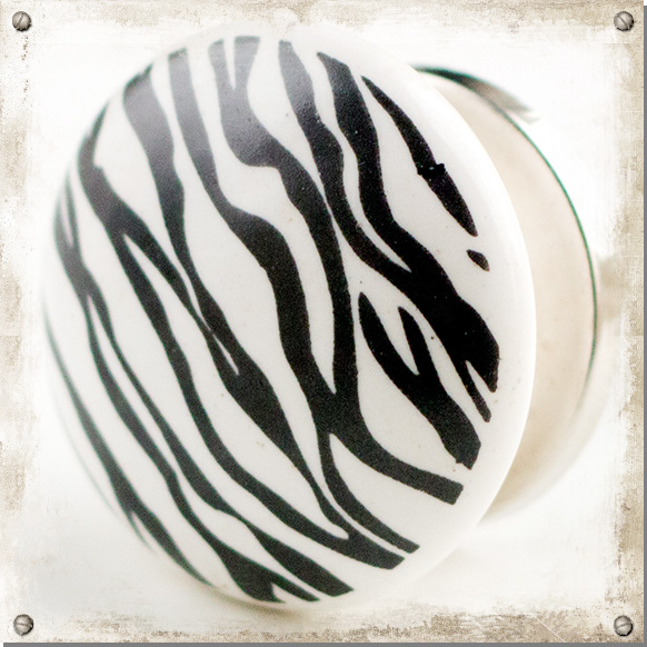 Knopp Zebra