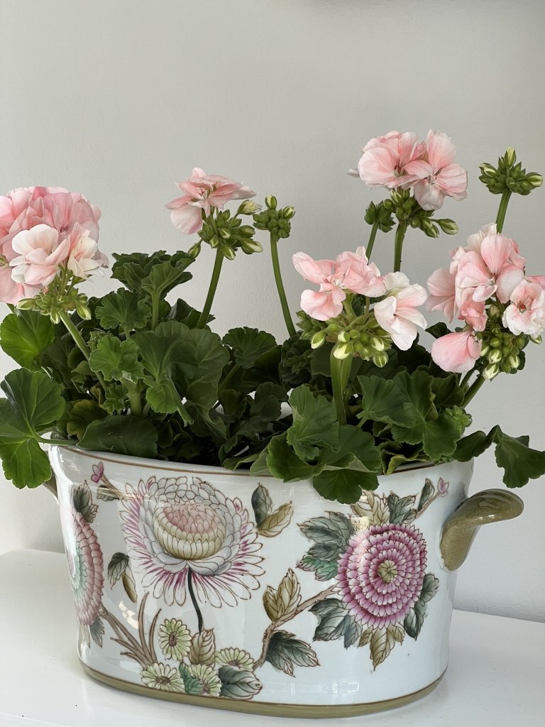 Jardinière Dalia 34 cm - 3