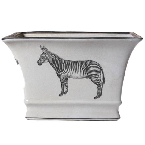 Kruka Zebra - 2