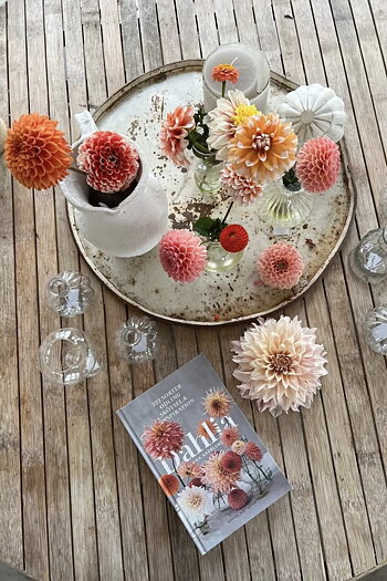 Bok -  Dahlia Ulrika Grönlund