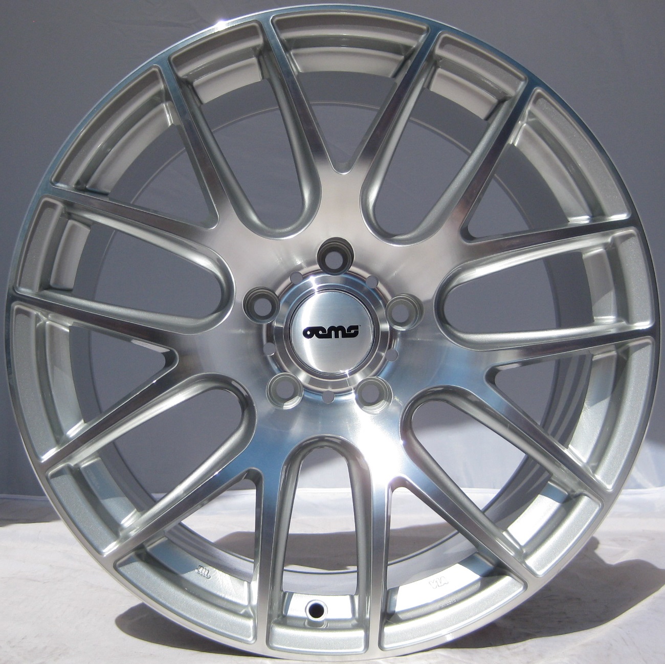 OEMS 111