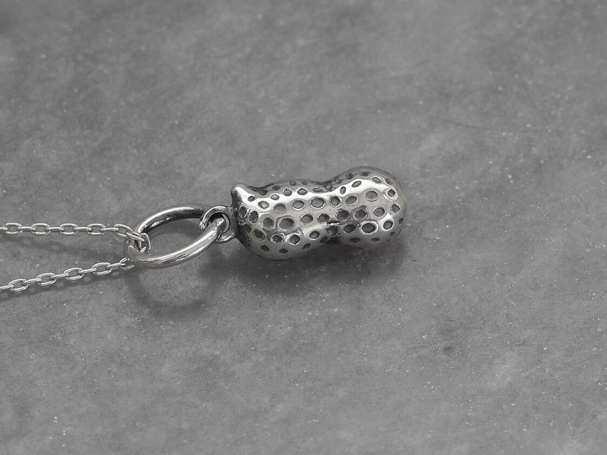 Jordnöt Halsband i Äkta 925 Silver, Nöt Hänge, Natur Smycke - 2