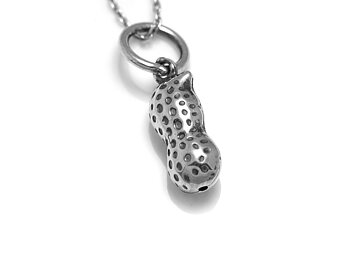 Jordnöt Halsband i Äkta 925 Silver, Nöt Hänge, Natur Smycke