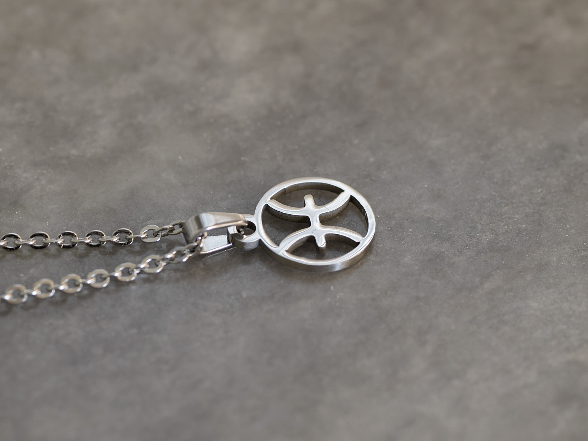 Fiskarna Stjärntecken Halsband i Rostfritt Stål, Zodiak Hänge, Födelsedagspresent Smycke - 2