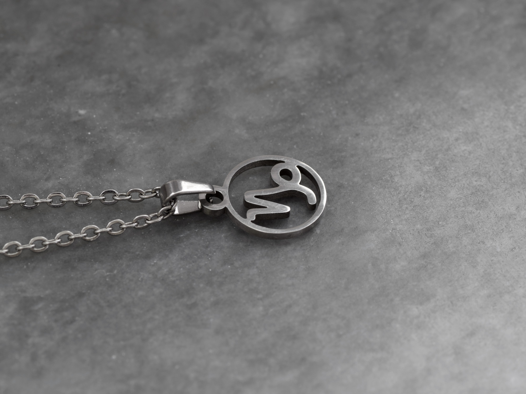 Stenbocken Stjärntecken Halsband i Rostfritt Stål, Zodiak Hänge, Födelsedagsgåva Smycke - 2
