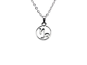 Stenbocken Stjärntecken Halsband i Rostfritt Stål, Zodiak Hänge, Födelsedagsgåva Smycke