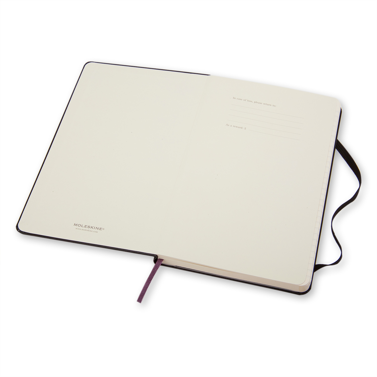 Anteckningsbok - MOLESKINE Ruled Notebook Large Expanded - 2