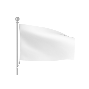 Flagga 294x180cm