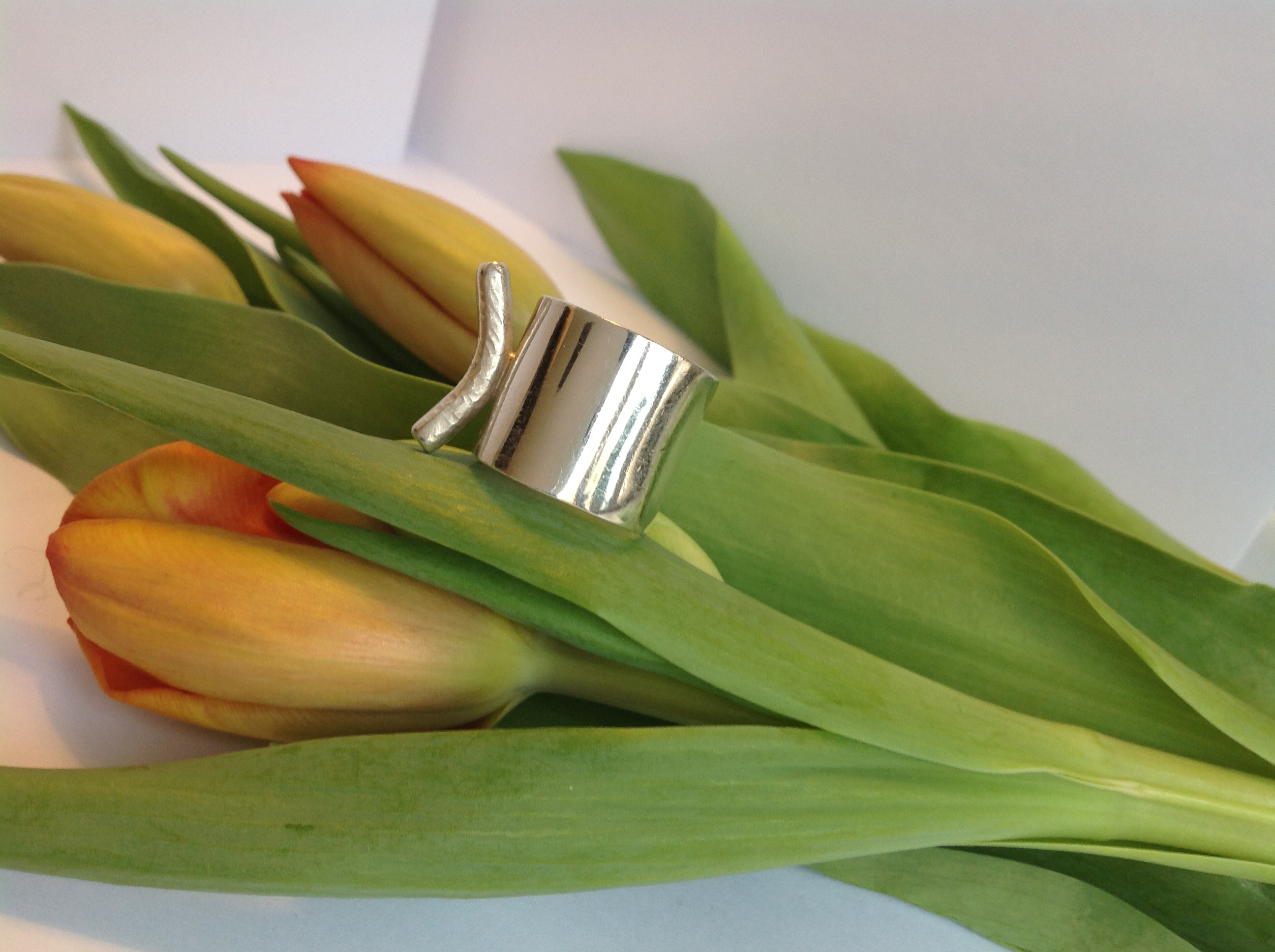 Ring Horn - 2