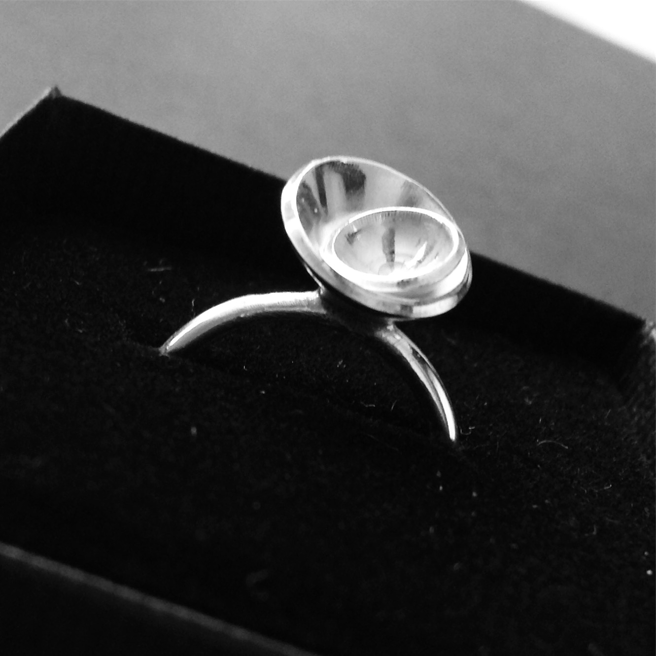 Ring Dubbelskål 