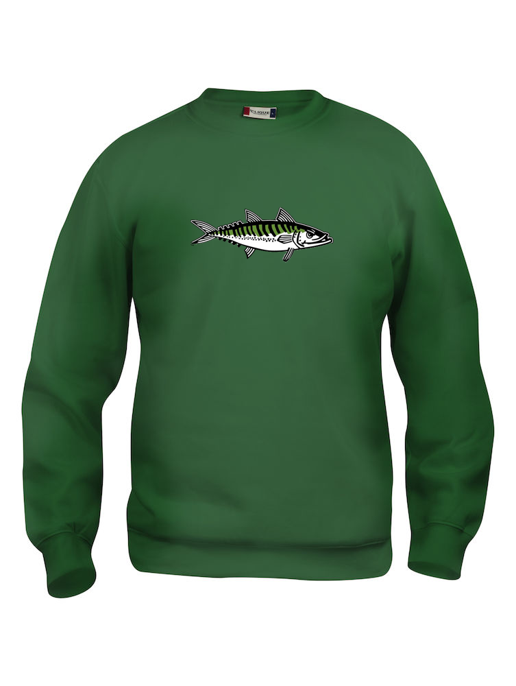 Roundneck, Makrill - 2
